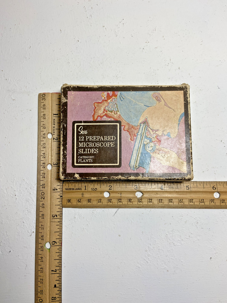 Vintage Sears Prepared Microscope Slides box - category Plants - includes 10