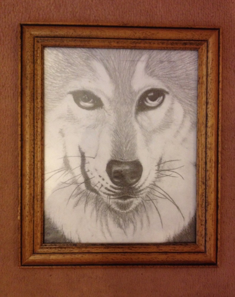 Wolf Original Drawing Framed