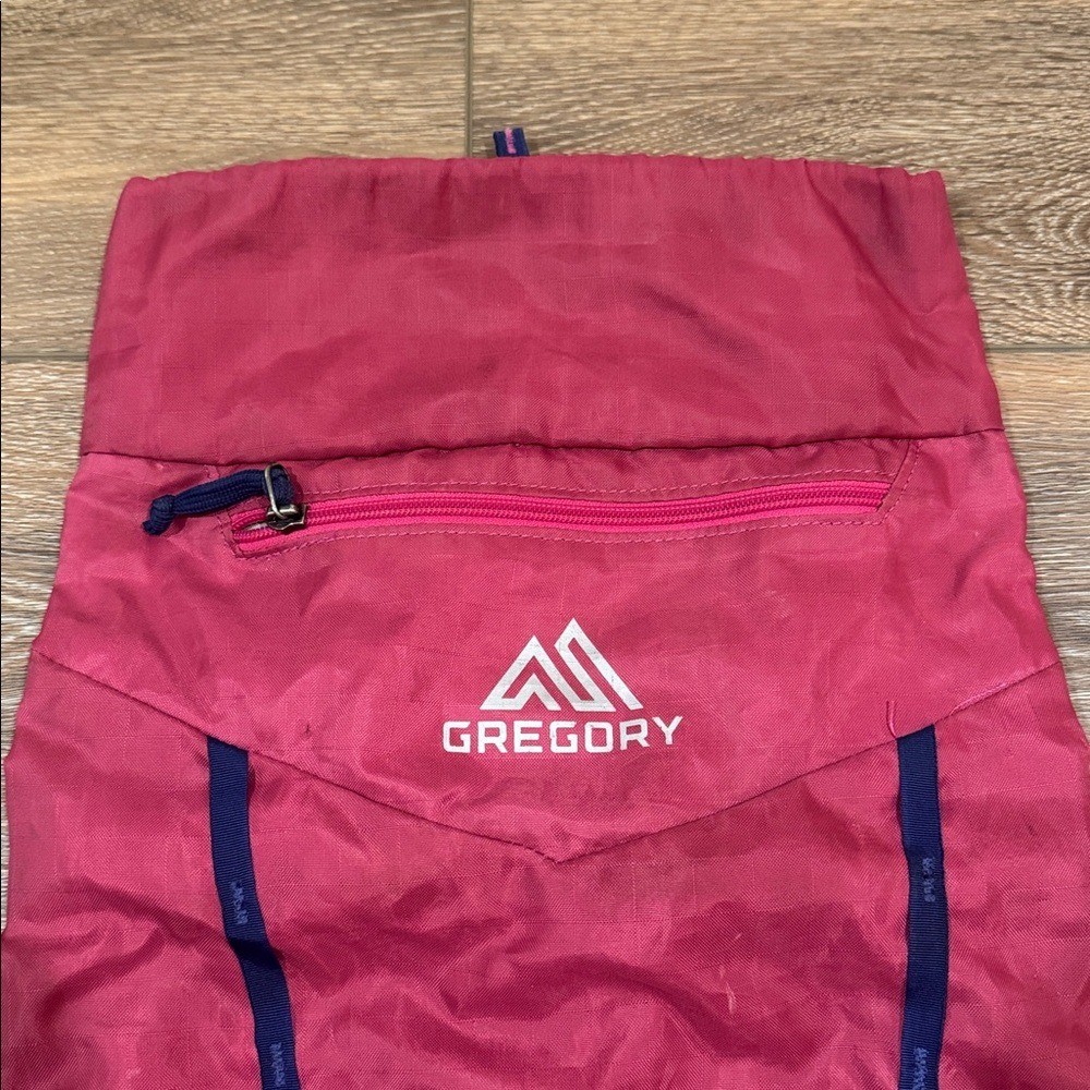 Gregory Pink Day Bag
