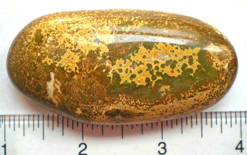 Ocean Jasper Palm Stone sc687r