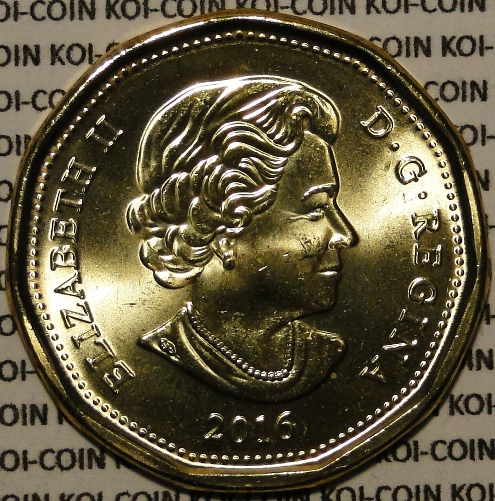 BU UNC Canada 2016 loonie $1 dollar coin from mint roll