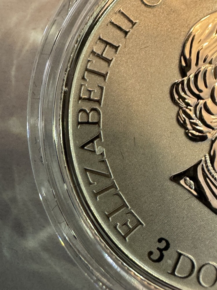 2021 7.96g PURE SILVER COIN.