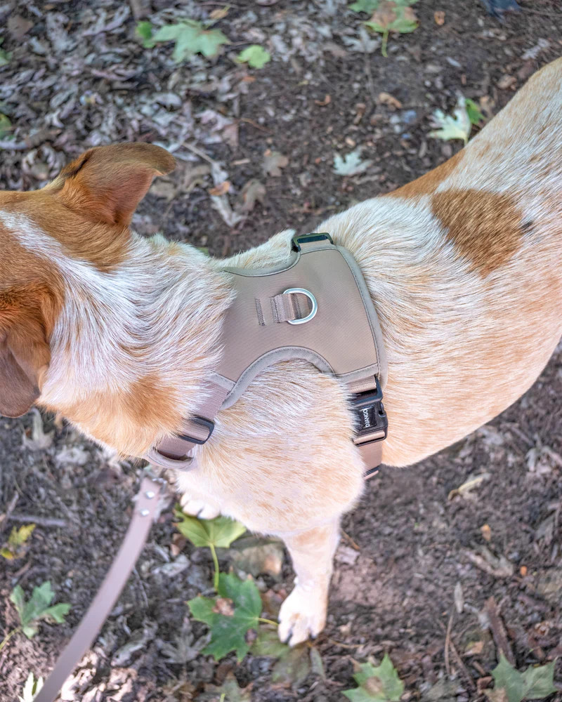 NWT Django Tahoe No Pull Dog Harness - Sandy Beige
