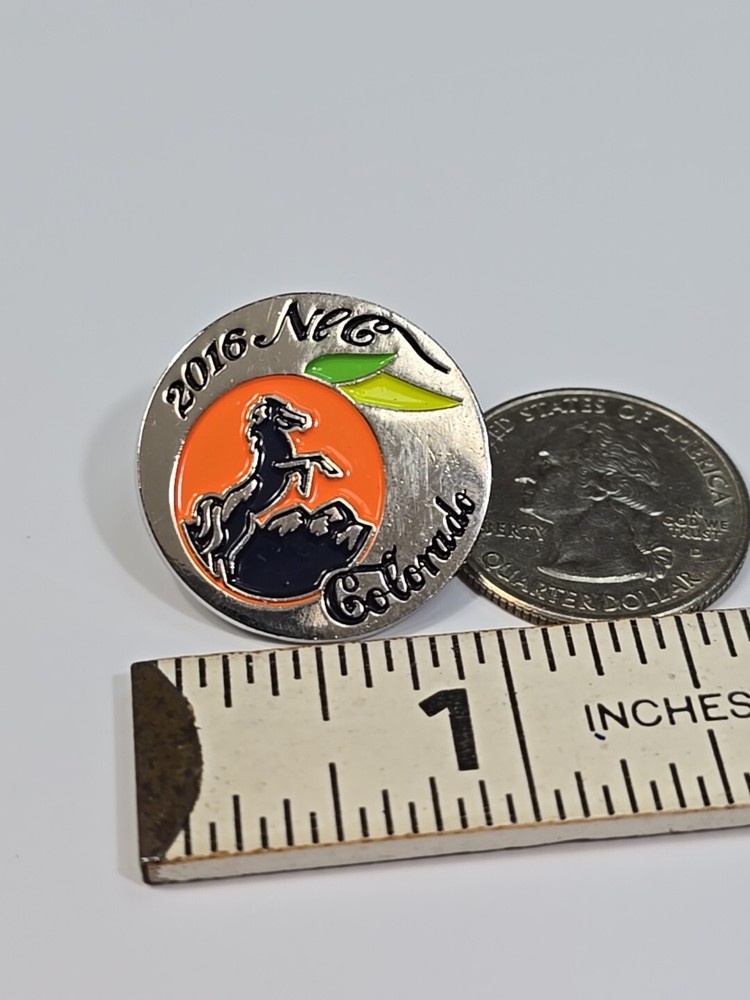 NEC 2016 Colorado Lapel Pin