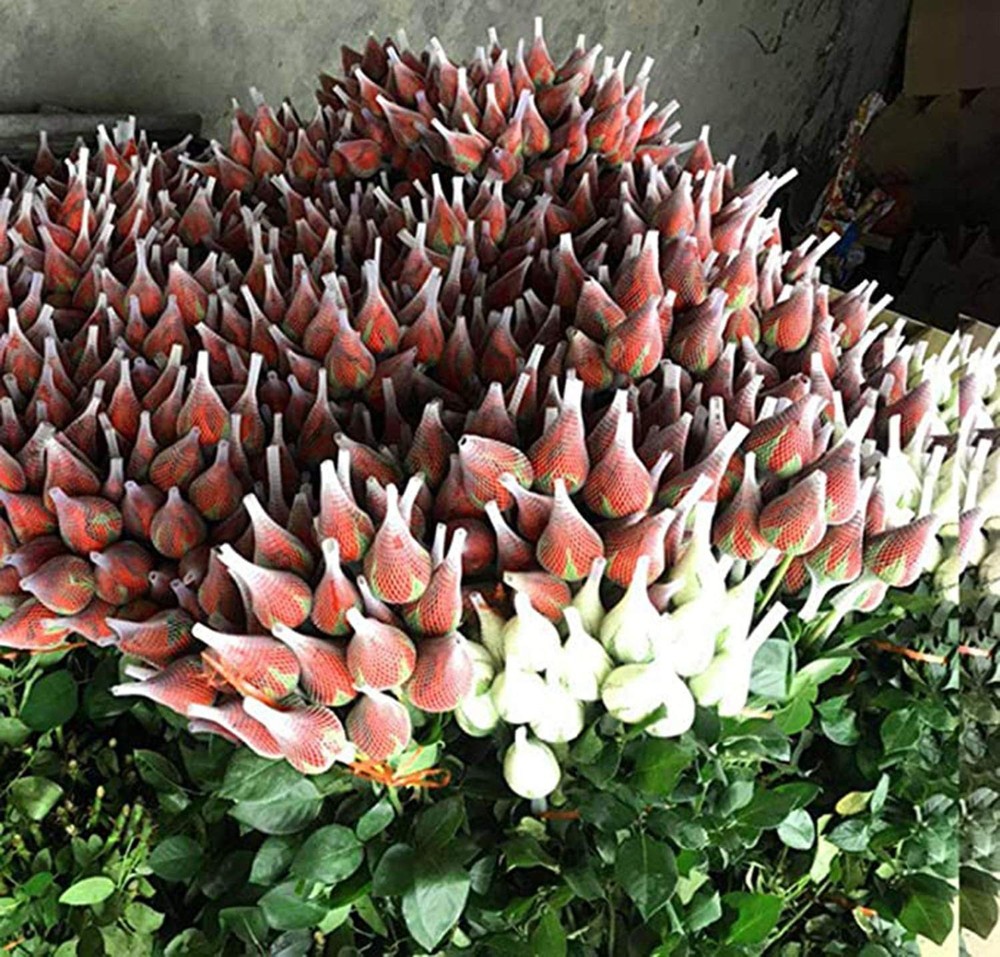 40 Yards Threads Spool Net, Net Sewing Thread for Spools multicolor