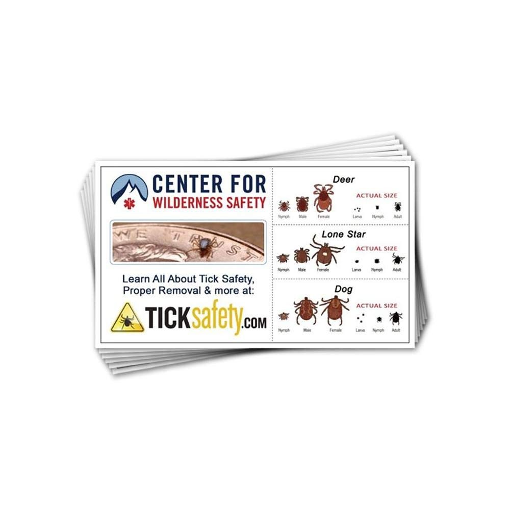 Tick Identification Cards