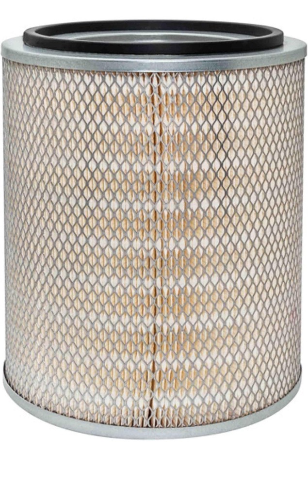 New Baldwin Filter PA2520