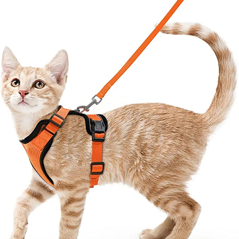Cat Harness: Secure & Escape Proof Walking Vest