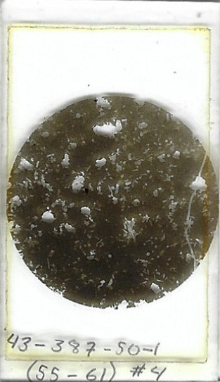 Thin-section Mount from DSDP Hole 387 Petrographic Microscope Slide 43-387-50-1
