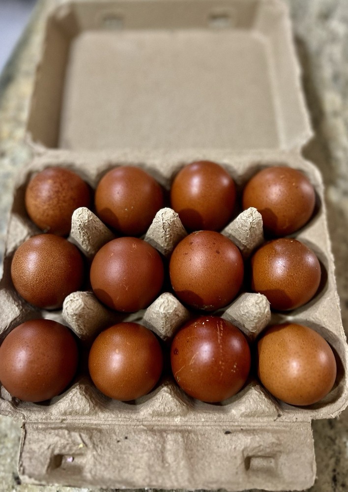 🚨SALE🚨Rainbow Hatching Eggs ! Create a Flock That Will Lay Color!🌈