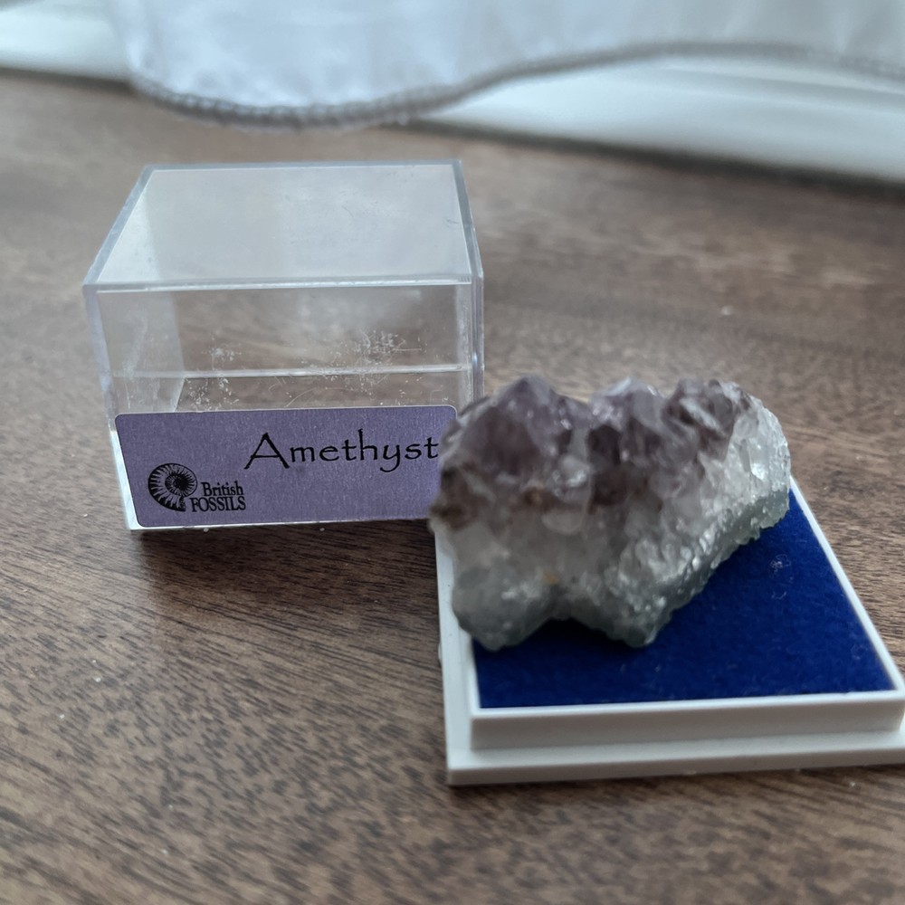 British Fossils Small Box Minerals Amethyst