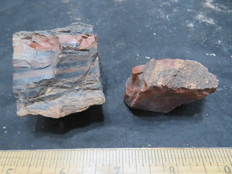Petrified Wood 4 lbs & 11 ozs 15 Pieces