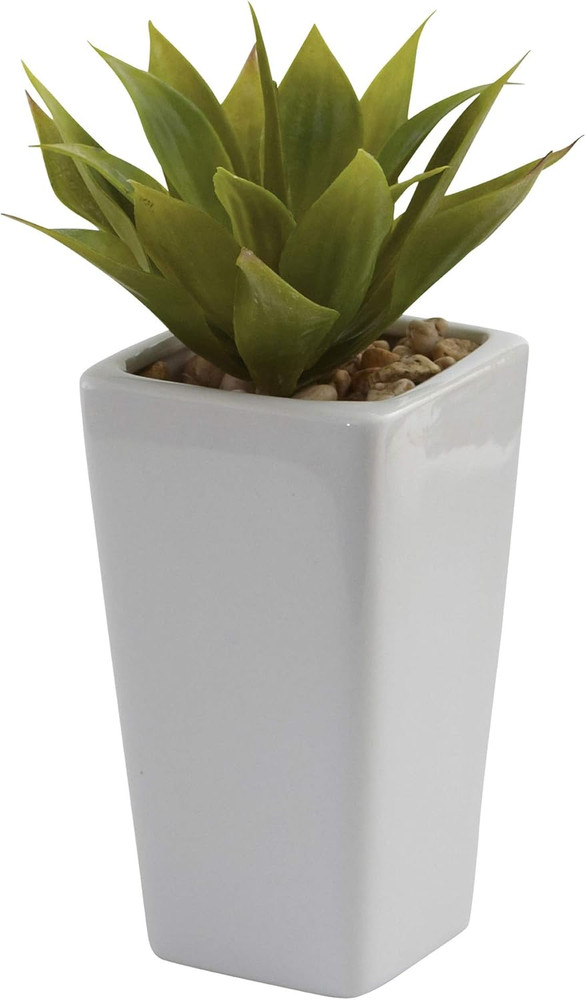 Mini Agave with Planter (Set of 3) White