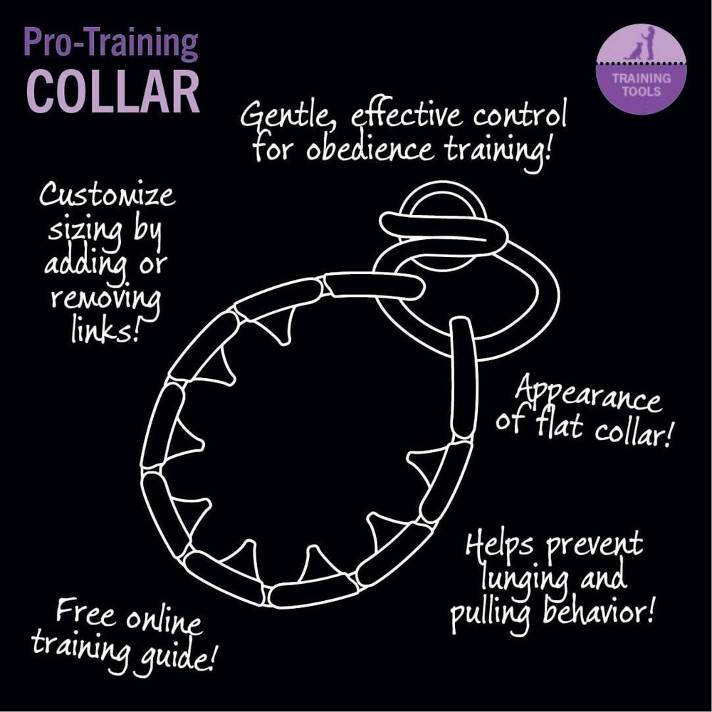 "Starmark Pro-Training Dog Collar Large "