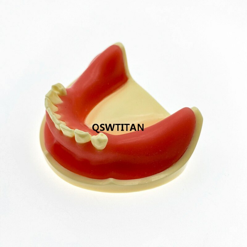 Dental Implant Practice Dental Study Teeth Model Dental Teaching Resources