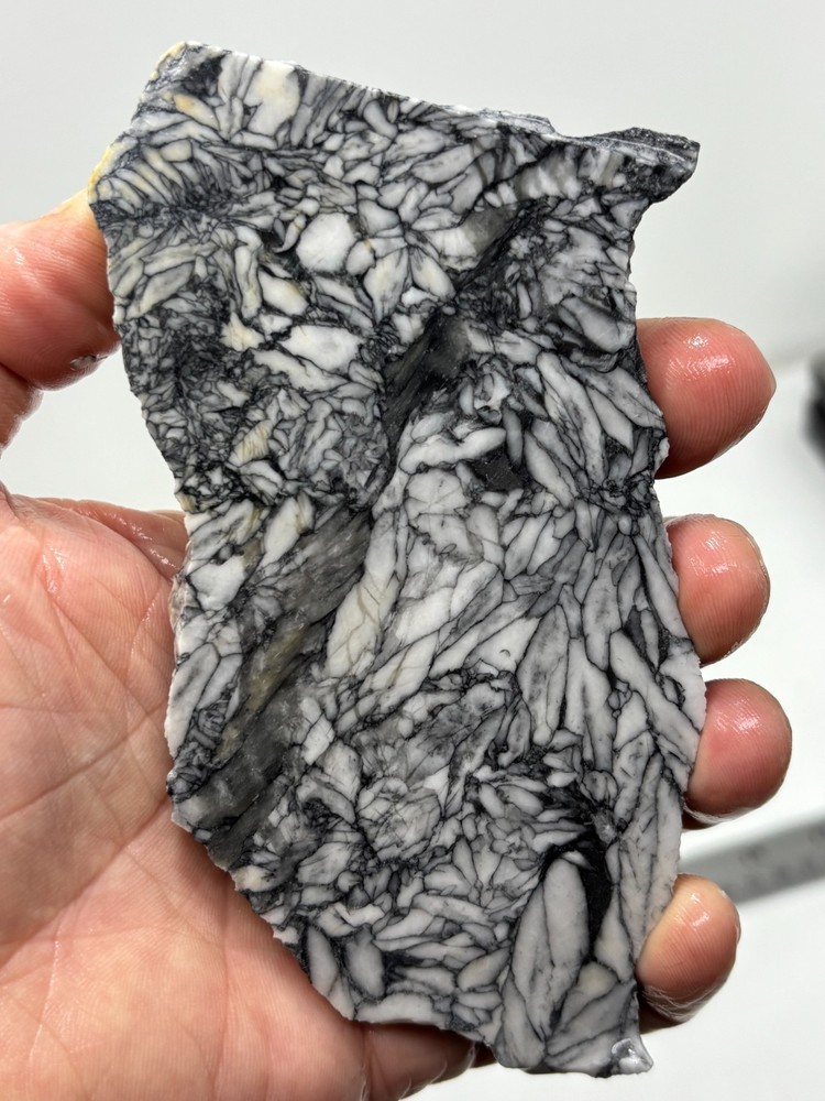 Rare Pinolith Slab Austria Cabbing Lapidary Combo Ship Avail