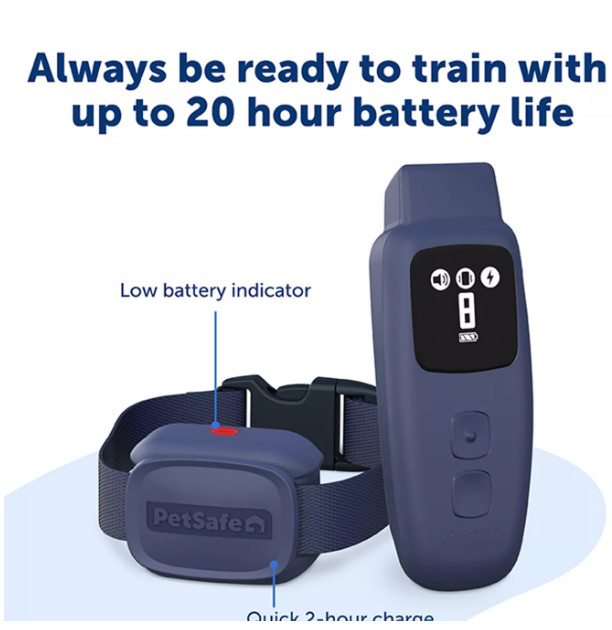 PetSafe® Core Dog Training E-Collar with Remote - Waterproof Bark Collar/Shock