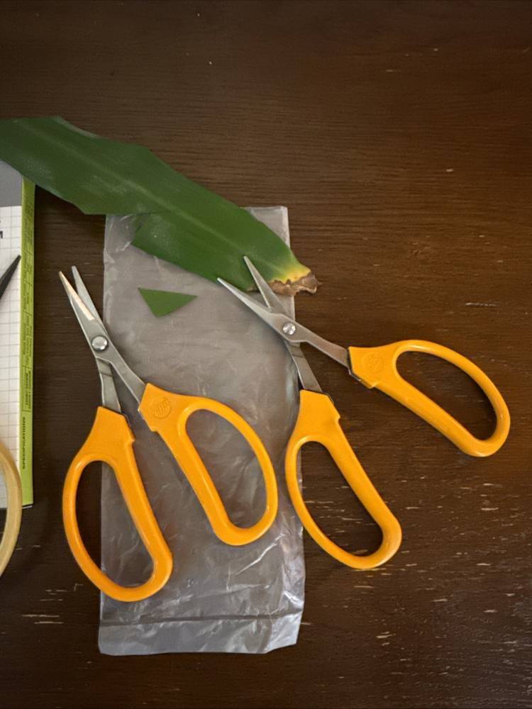 4-pack ARS Fruit Pruning And Trimming Scissors.