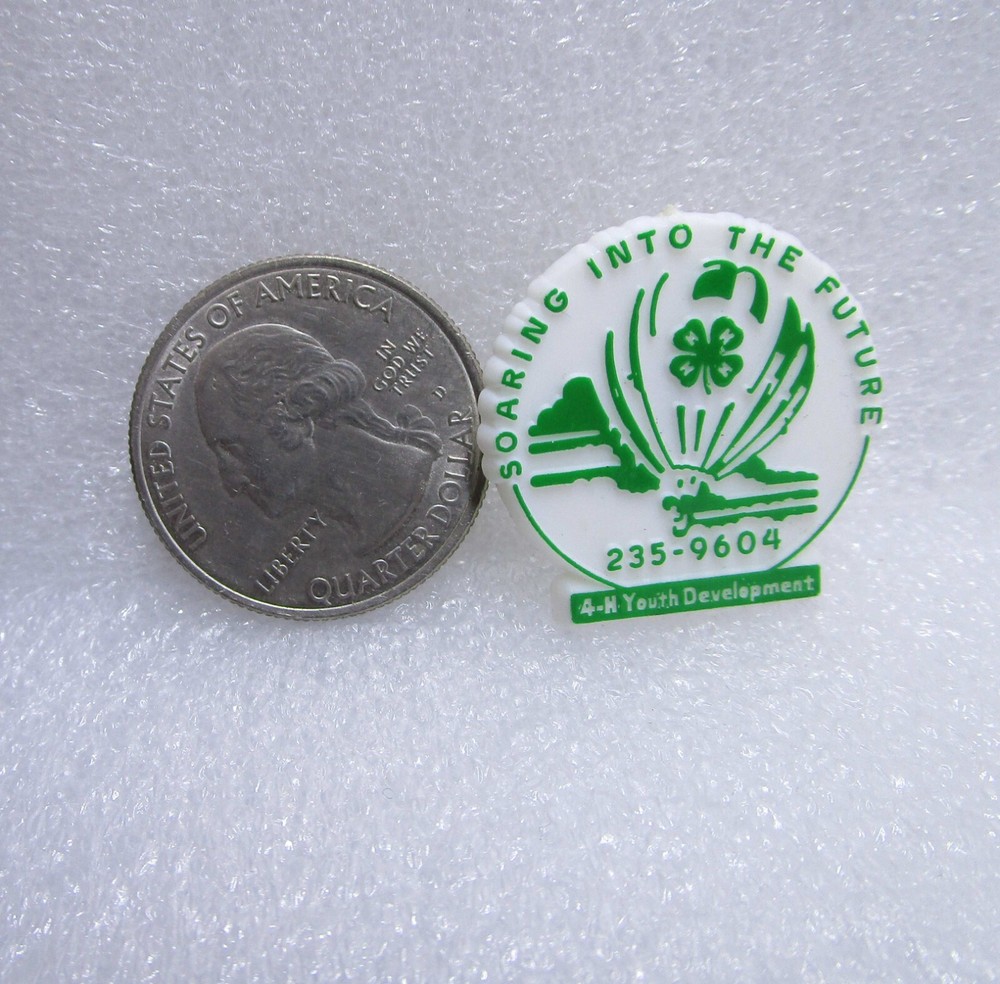 4H Youth Development - Soaring Into The Future Plastic Pin