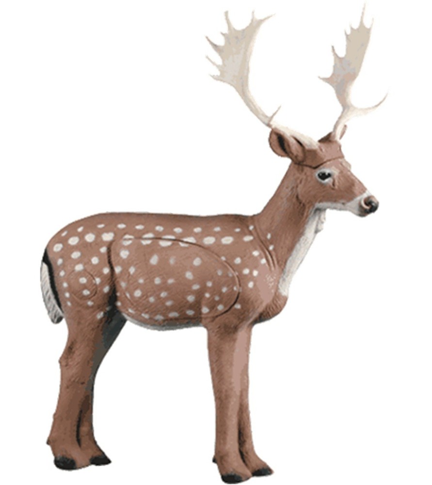 Rinehart Competition Series Fallow Deer Archery Target ASA Scoring