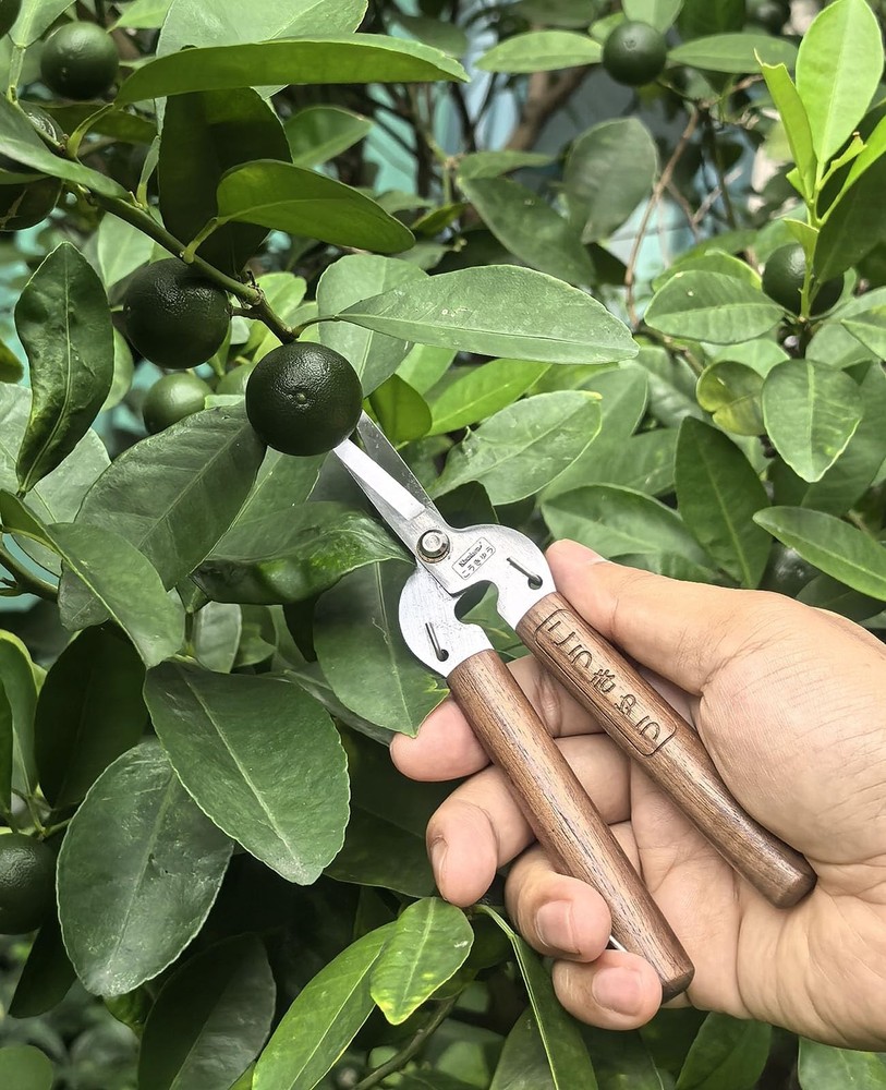 Razor Sharp Pruning Shears for Gardening, Garden Carbon 6.8 inches