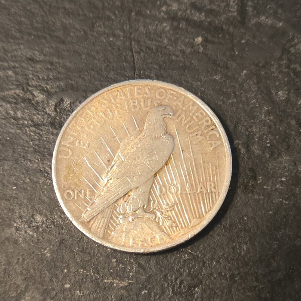 1923 Peace dollar