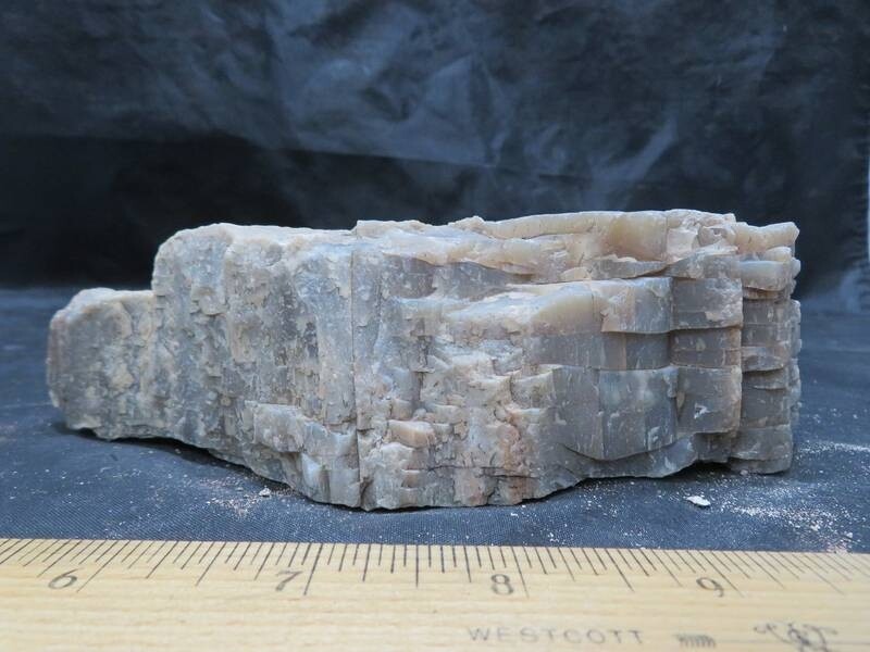 Petrified Wood 2 lbs & 3 ozs