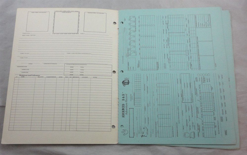 Advanced Dungeons & Dragons TSR9029 Permanent Character Folder/Adventure Record