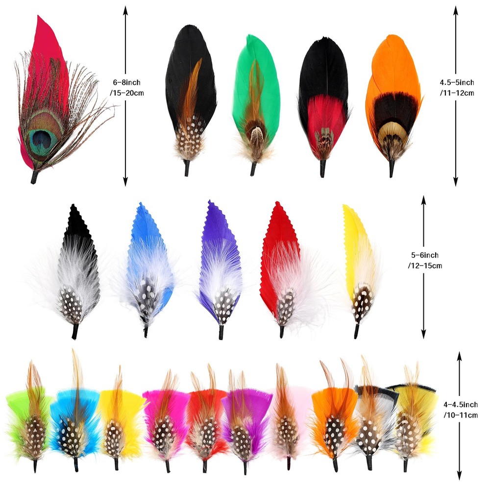 SendyFeather Hat Feathers 20 Styles Natural Assorted 4-6Inch, Multicolored