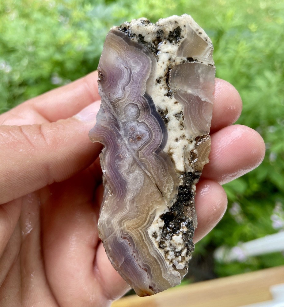 Aztec Crazy Lace Agate Large Rough 4 Oz