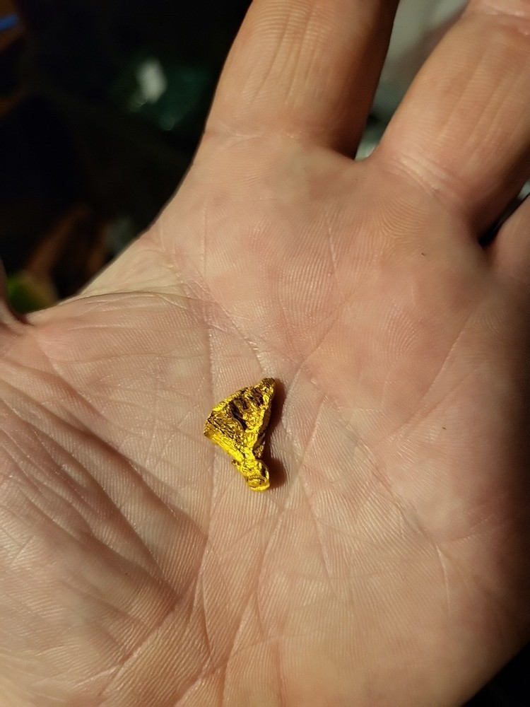 Gold Nugget