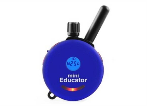 Educator E-Collar Technologies Transmitter for ET-300 Series ONLY- Fast Ship