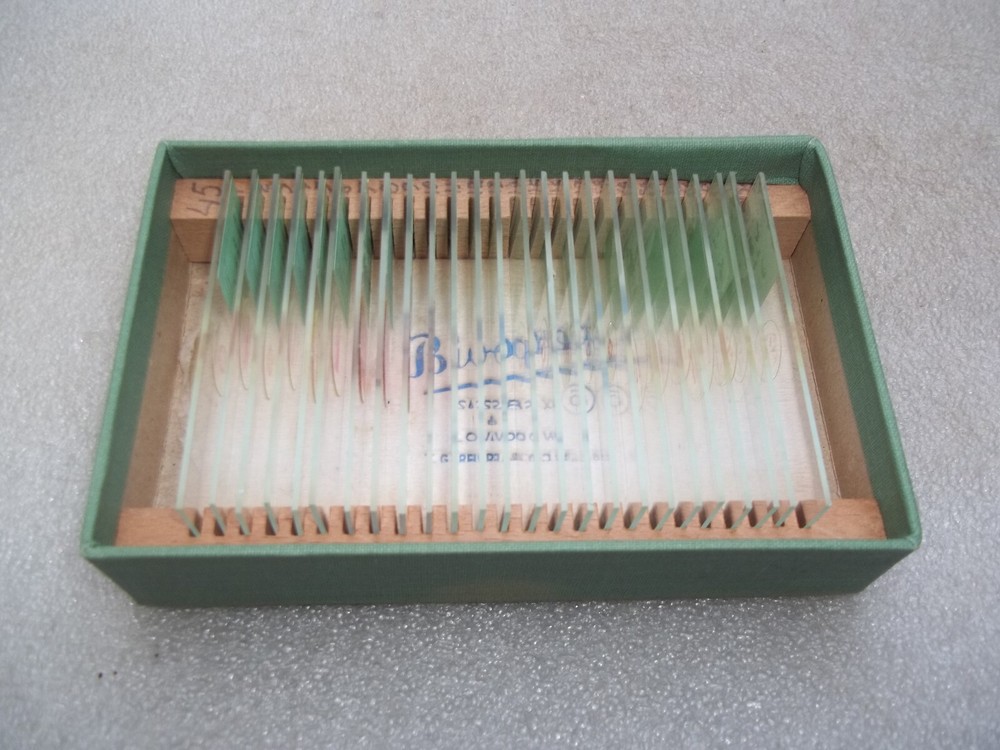 Vintage Glass Microscope Slides -