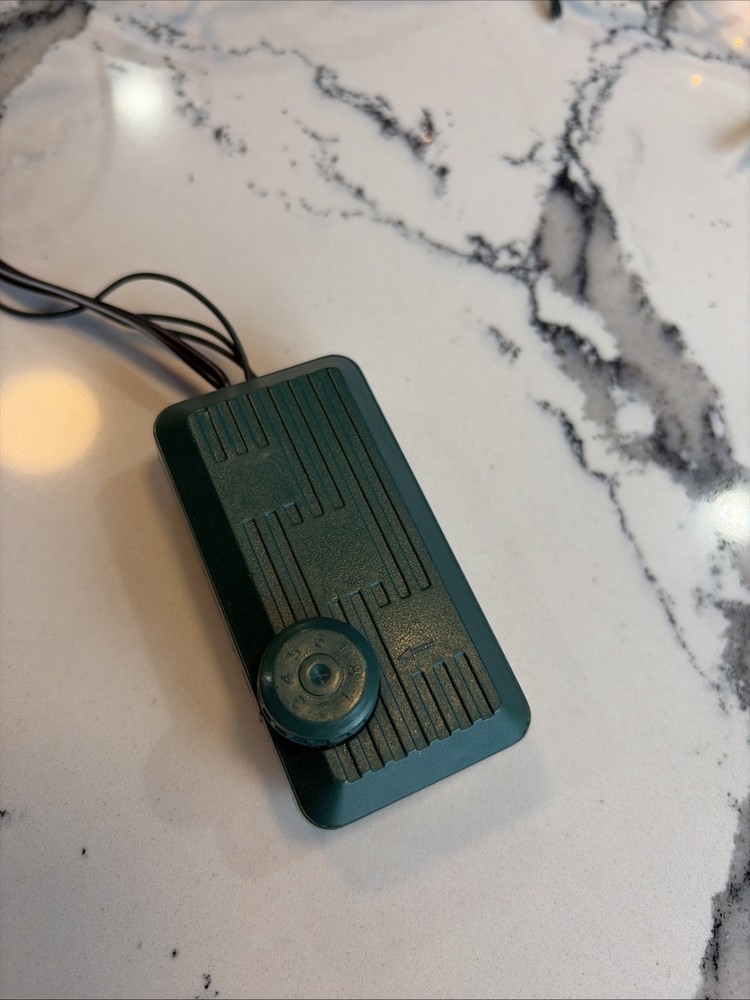 Tongui “Grain Of Rice” Light String