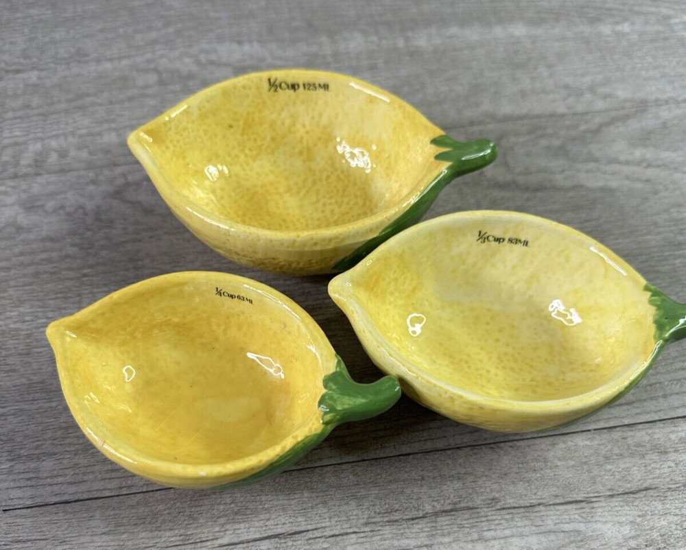 Ankyo Development Lemon Measuring Cups And Spoons Set New