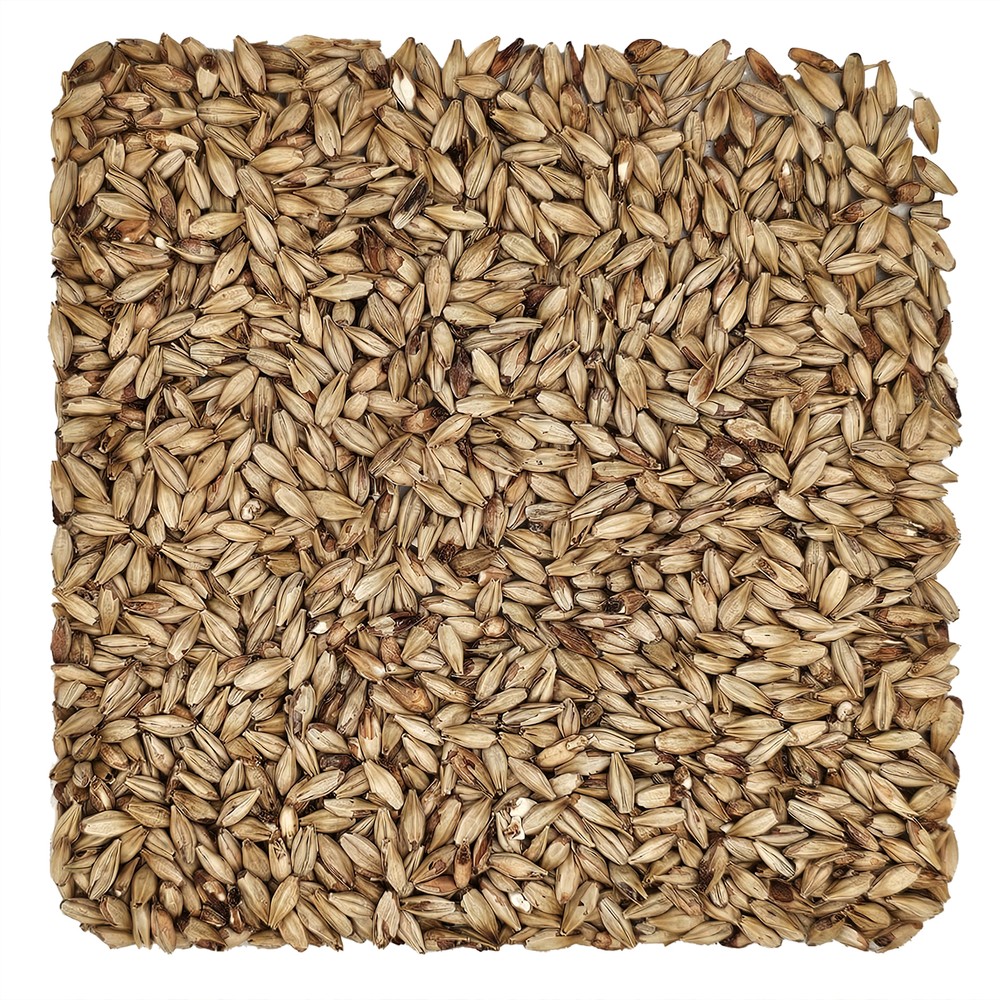 Home Brew Ohio Aromatic Grain 1lb