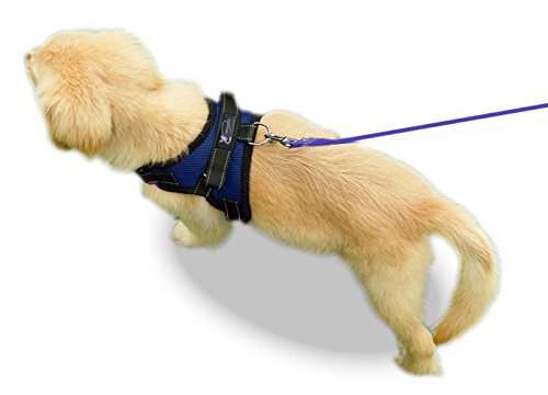 Copatchy No Pull Reflective Adjustable Dog Harness with Handle (X-Small, Blue)