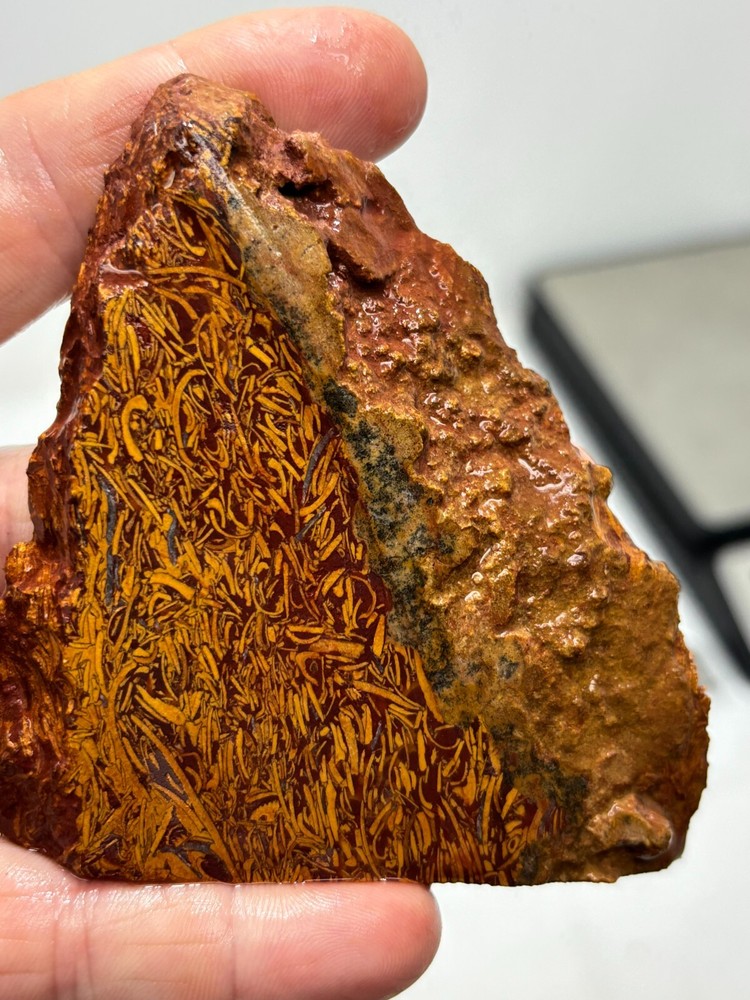 Script Stone Jasper Slabs Cabbing Lapidary Collecting Combo Ship Avail