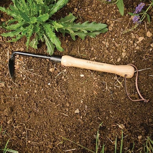 Cape Cod Weeder