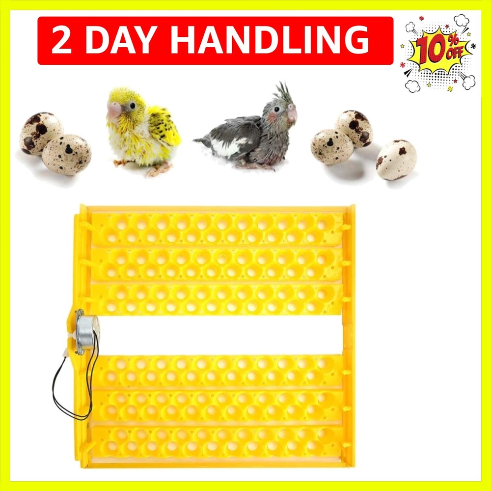 132 pcs Egg Incubator Tray and Automatic Egg Turning Tray for 110V Automatic ...