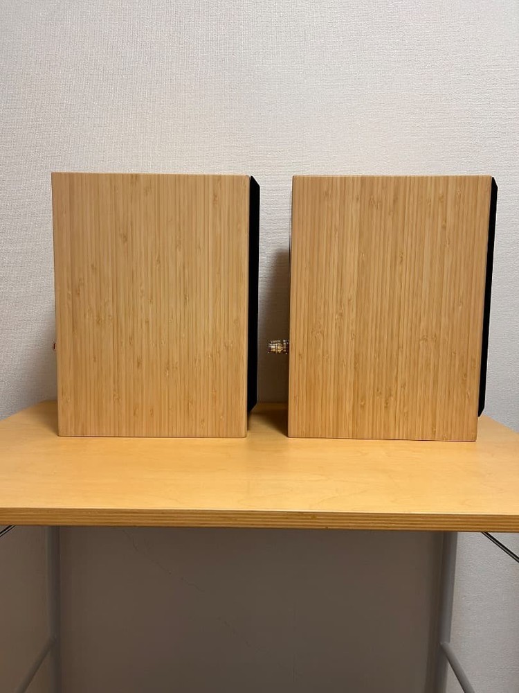 Ascend Acoustics Sierra-LX speaker