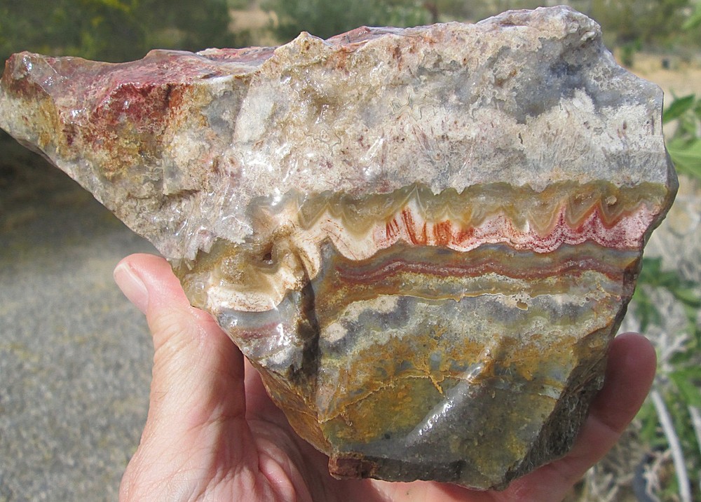 CRAZY LACE AGATE ROUGH ~ 3 lbs 13 ozs