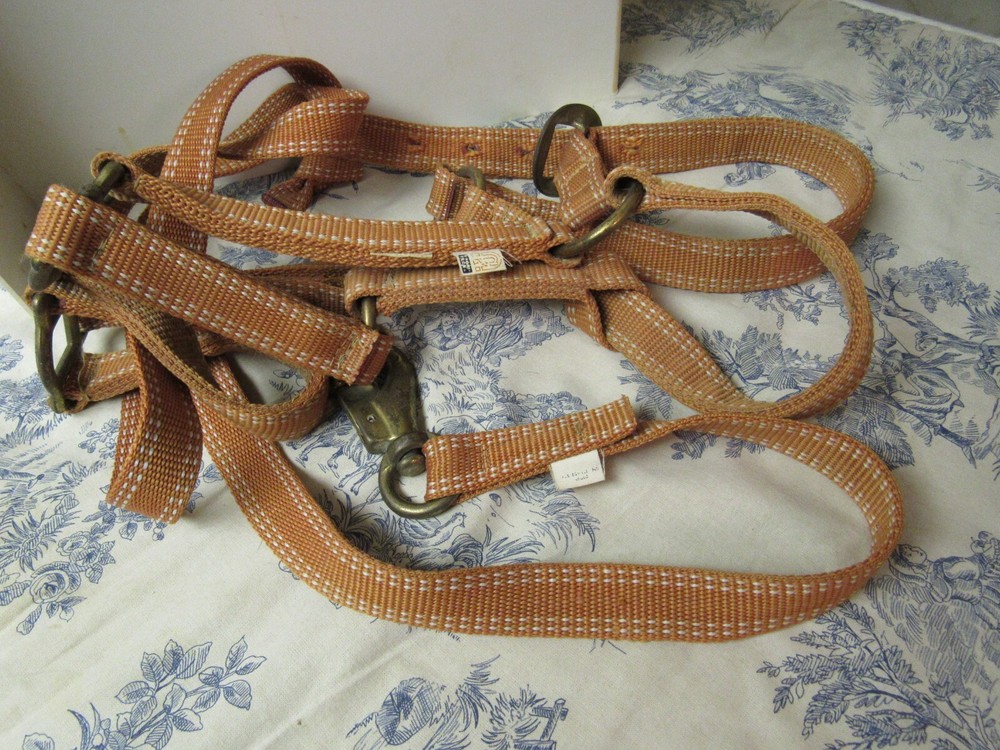 Fabri Tech Web Halter & Lead