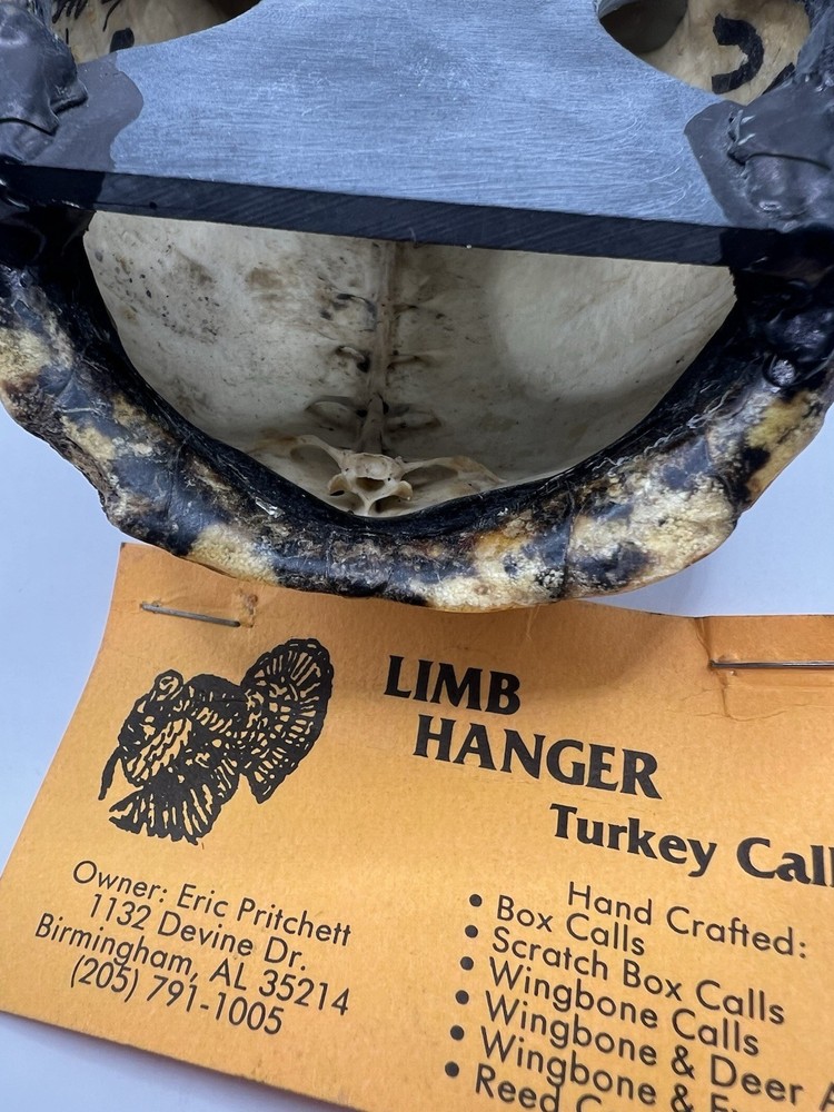 Limb Hanger “Turtle shell” Pot Turkey call Signed And Dated 1998 Eric Pritchett