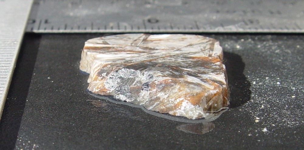 Stick Agate Lapidary Slab T1244