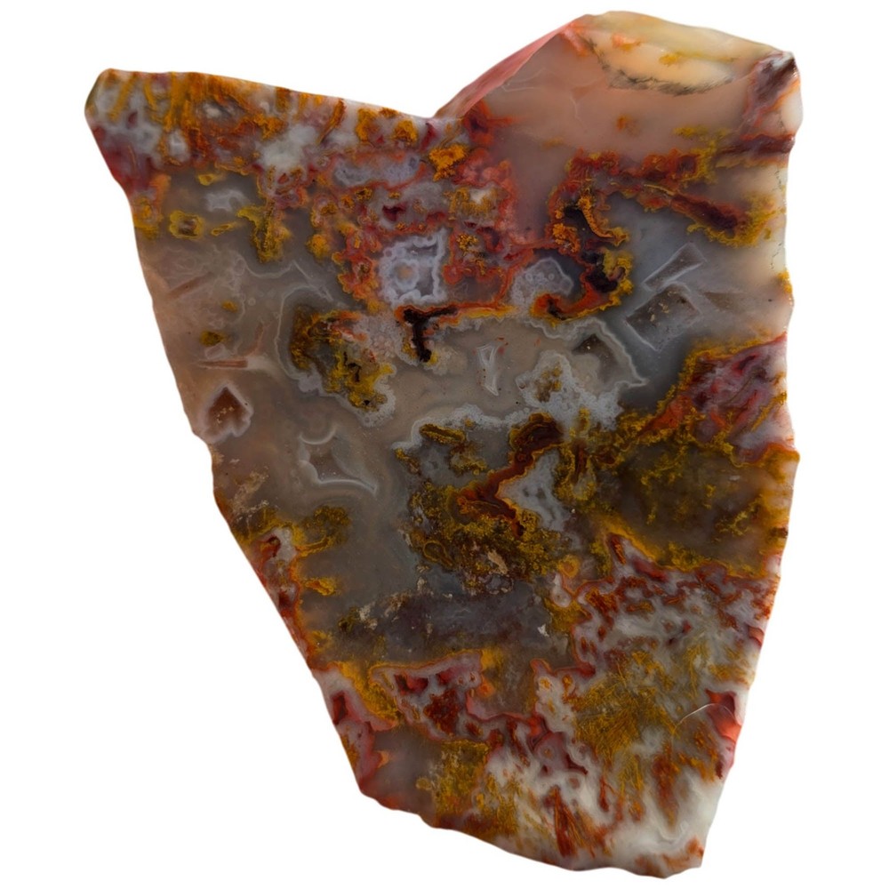 Apple Valley Agate Slab - Wintry Scene with Pseudomorphic Moss