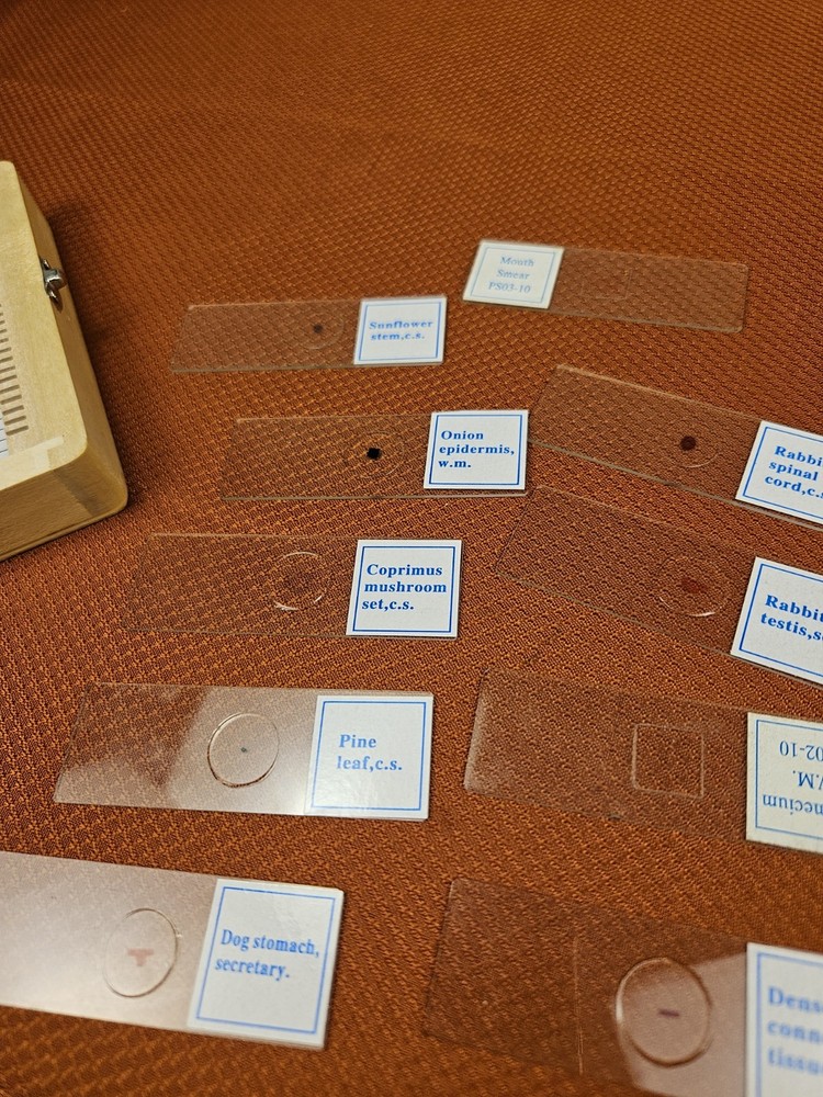 Celestron prepared microscope 25 slide set