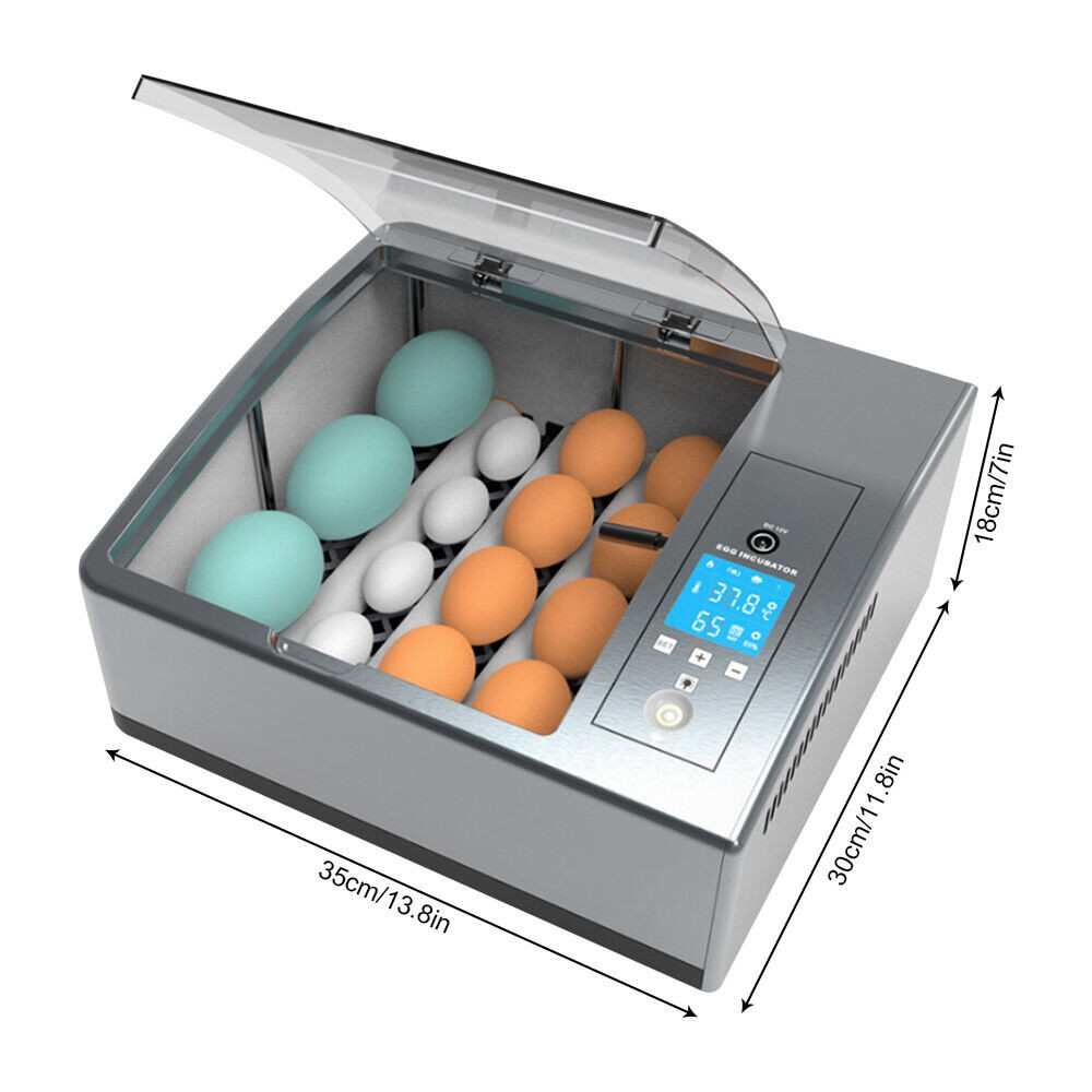 16 Chicken Egg Incubator Fit Hatching Eggs With Automatic Turner Temp Control