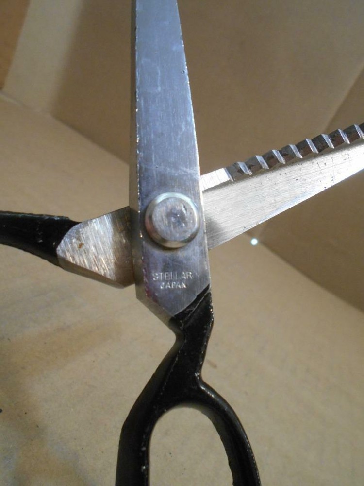Stellar Wave Ruffle Edge Scissors ~