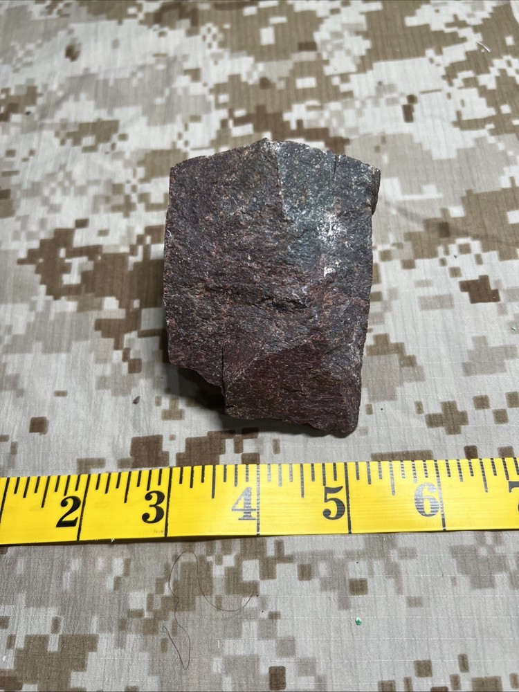 Fossil T-Rex Bone Fragment